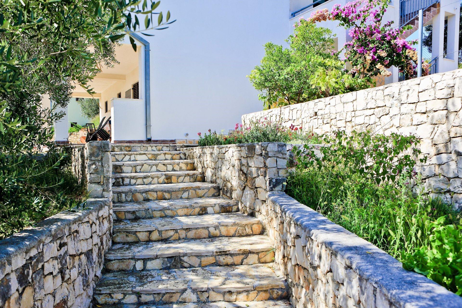 Stone steps through the garden